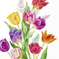 IHR Napkins Bright Tulips IHR Napkins Bright Tulips