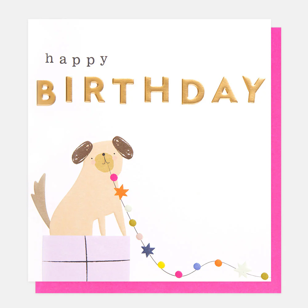 Caroline Gardner Happy Birthday Dog On A Present Card Caroline Gardner Happy Birthday Dog On A Present Card