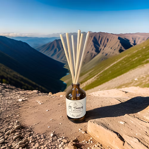 St Tanwg Diffuser - Y Mynydd St Tanwg Diffuser - Y Mynydd