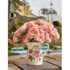 Botanic Roses Village Centenary Collection - Bella Jug 1.5pt Botanic Roses Village Centenary Collection - Bella Jug 1.5pt