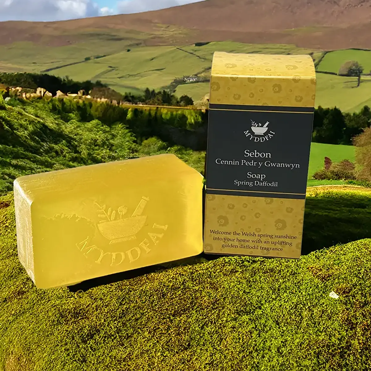 Myddfai Cenin Pedr Y Gwanwyn / Spring Daffodil Soap 220g Myddfai Cenin Pedr Y Gwanwyn / Spring Daffodil Soap 220g