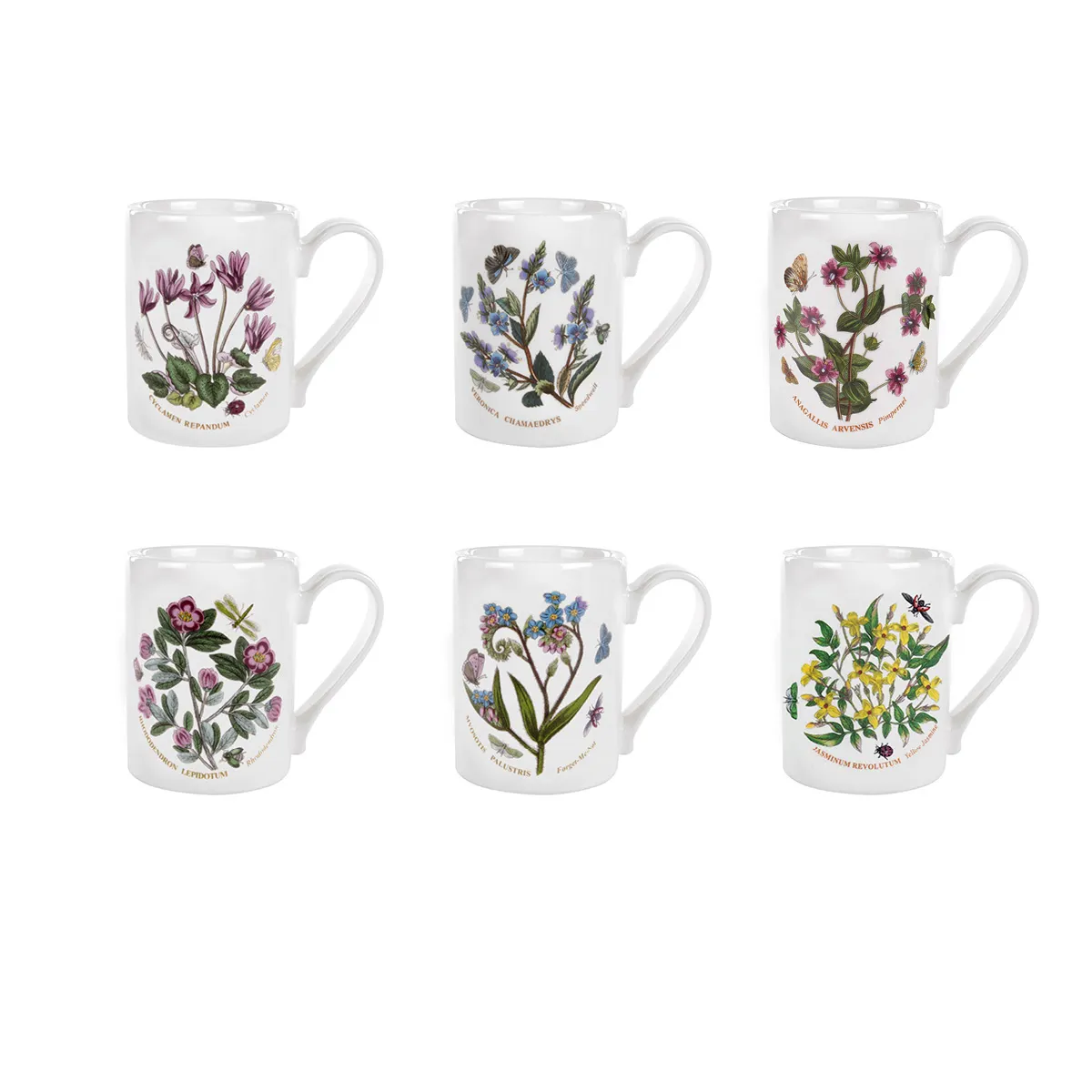 Botanic Garden Coffee Mug Botanic Garden Coffee Mug