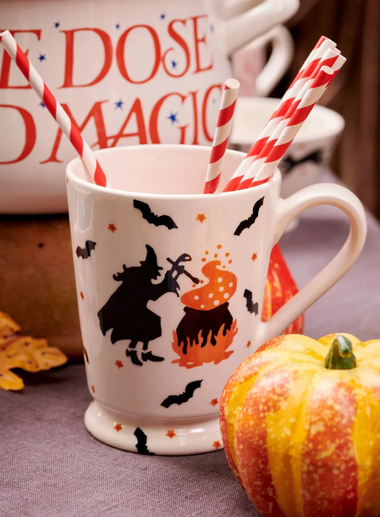 Emma Bridgewater The Wise Witches