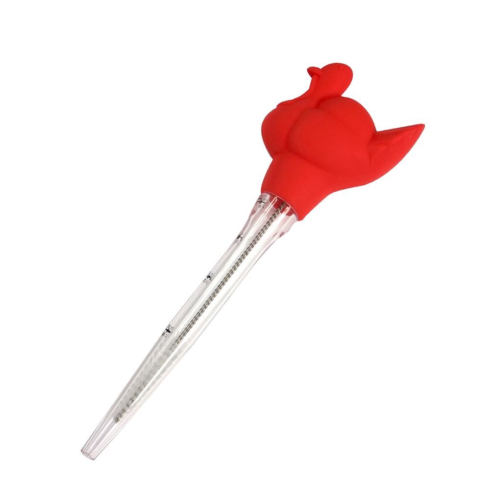 Red Silicone Turkey Baster Buy Online Here Portmeirion Online