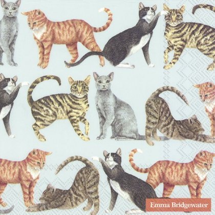 Emma Bridgewater Cats Emma Bridgewater Cats