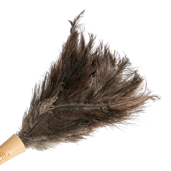 Living Nostalgia Genuine Ostrich Feather Duster with Telescopic Handle Living Nostalgia Genuine Ostrich Feather Duster with Telescopic Handle