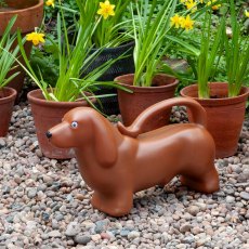 Watering Can Sausage Dog 2L