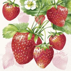 IHR Napkins Strawberry Fruits Cream IHR Napkins Strawberry Fruits Cream