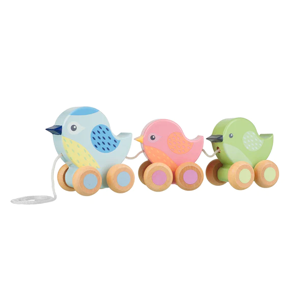 Orange Tree Toys Pull Along Birdies