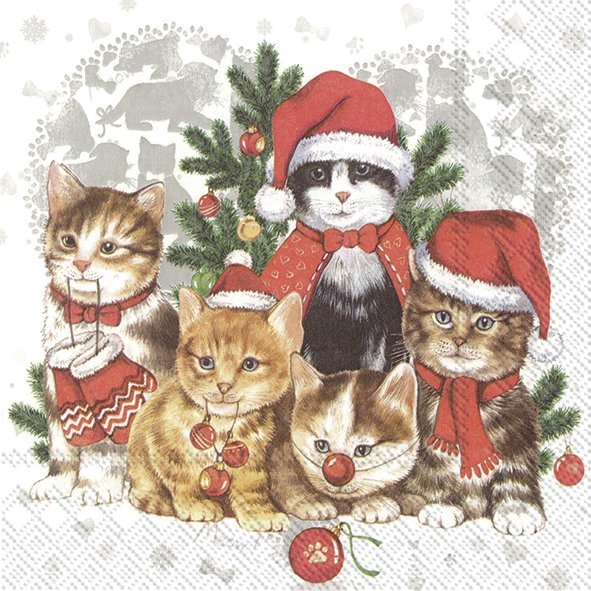 Ideal Home Range Napkins Cats -Mas