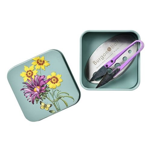 RHS Endorsed RHS Asteraceae Gift Herb Set