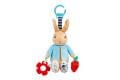 Peter Rabbit Activity Toy