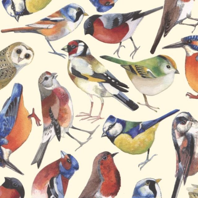 Emma Bridgewater British Birds Card