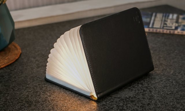 Gingko Smart Book Light - Large Black Leather