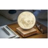 Gingko Smart Moon Lamp - American Walnut