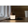 Gingko Smart Diffuser Lamp - Walnut