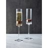 Soho Champagne Flutes Bronze Set of 2