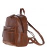 Ashwood Leather Small Leather Backpack Chestnut T-87