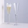 Sharon Celebration Champagne Flute Pair