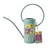 RHS Endorsed RHS Asteraceae Gift Indoor Can