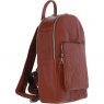 Ashwood Leather Men's Rucksack Tan PL46