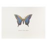 Portico Designs Blue Butterfly Boxed Notecards 10 Pack