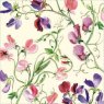 Emma Bridgewater Sweetpea Card