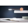 Gingko Octagon One Desk Light - Maple